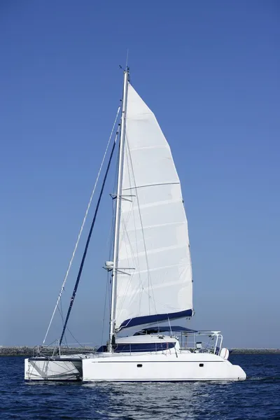 Catamaran sailboat sailing blue ocean water