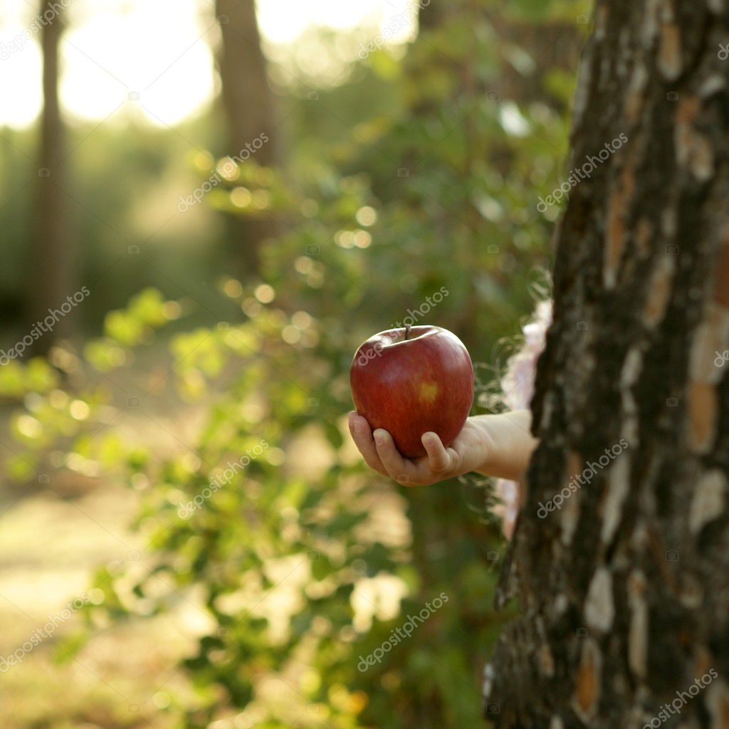 Apple Forest