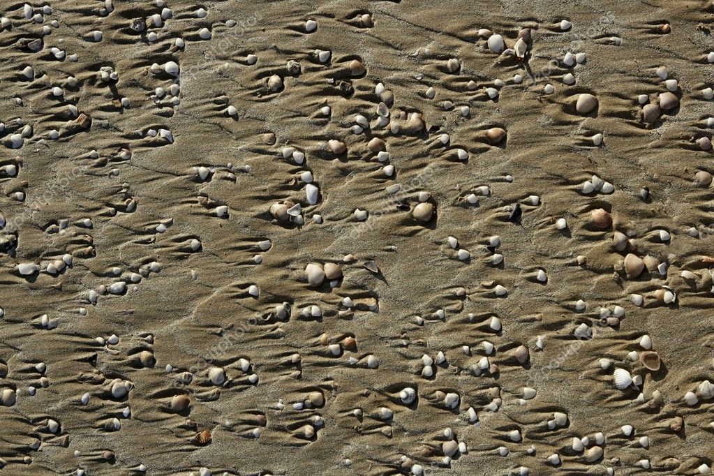 beach sand footprints. shadows of each sand