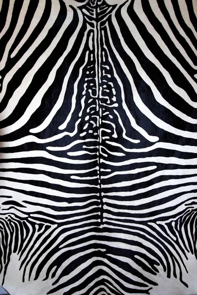 Animal zebra skin black and white fur stripes