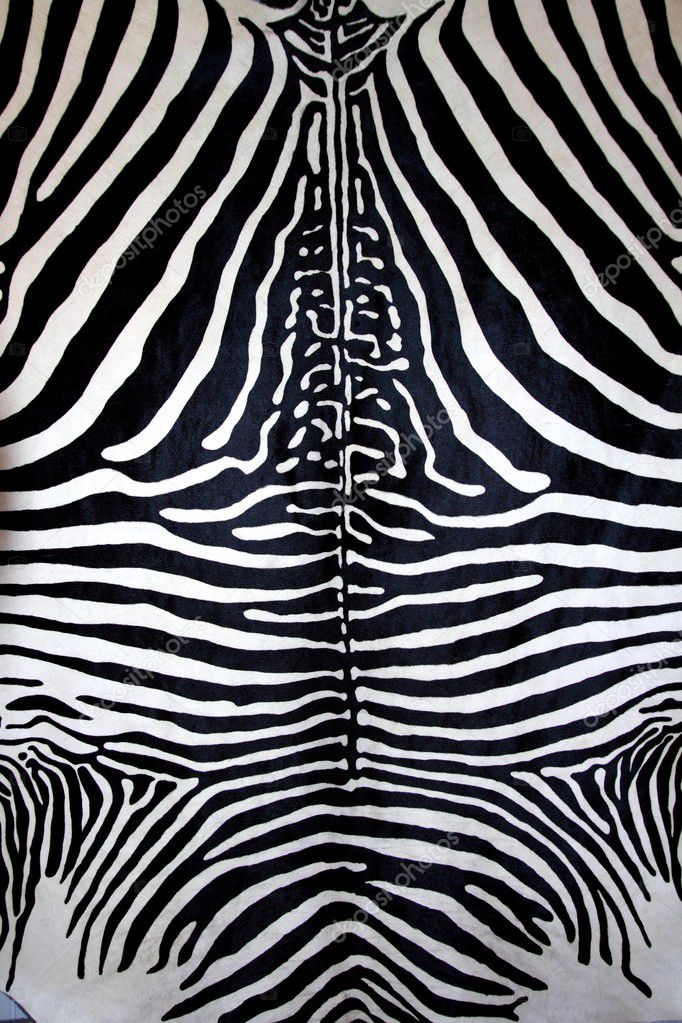 Zebra Fur