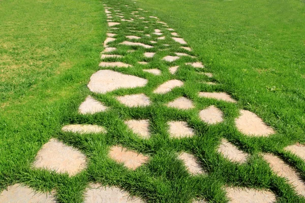 Stone path in green grass garden texture