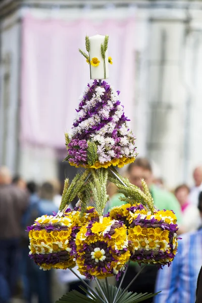 Procession of torch flowers
