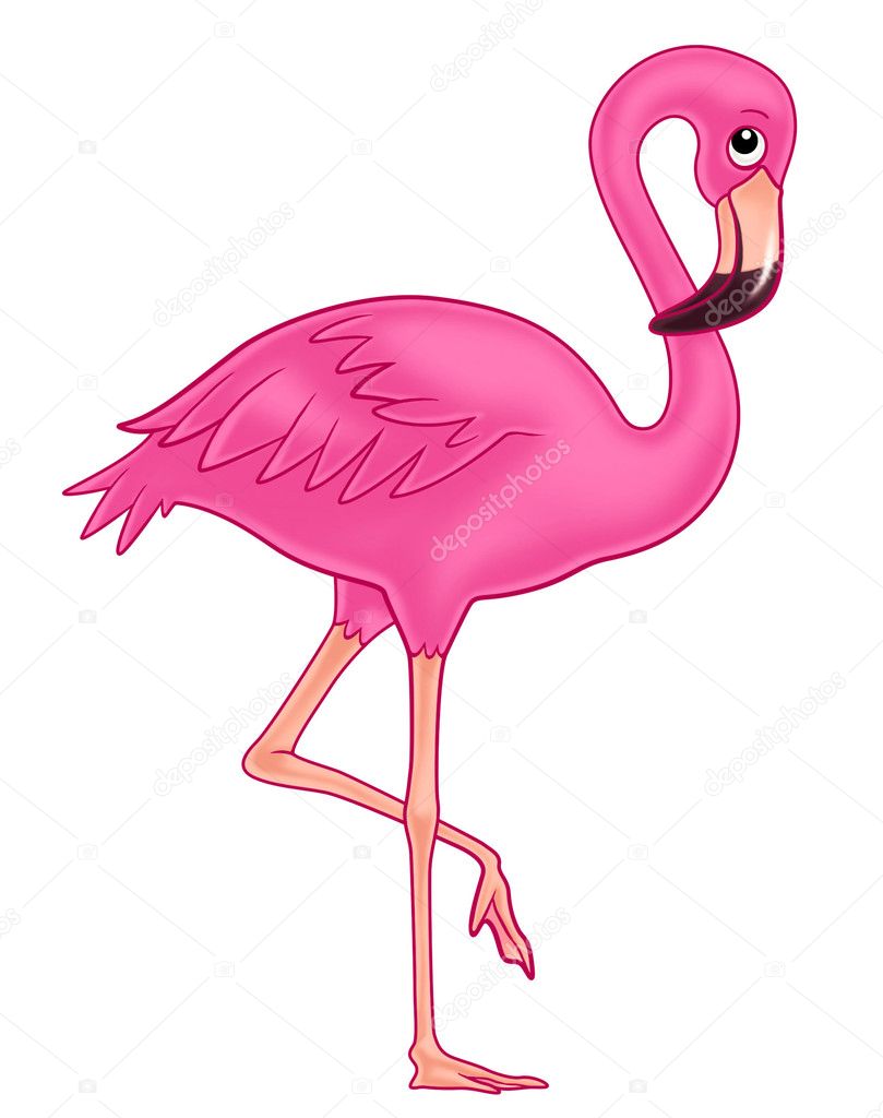 cartoon pink flamingo