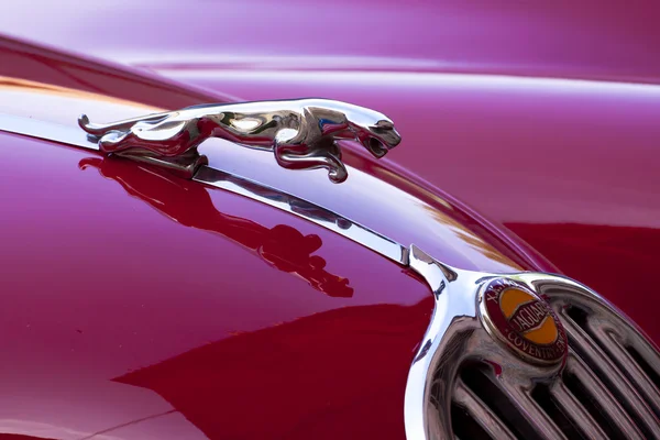 Red luxury retro sports car - Jaguar