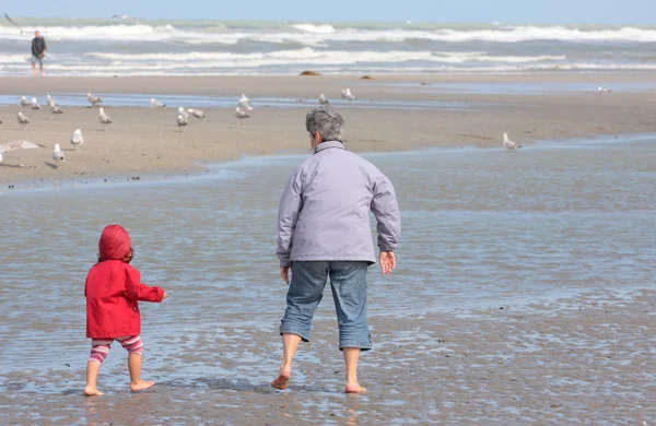 Grandmother and granddaughter walking on the beach with feet in water