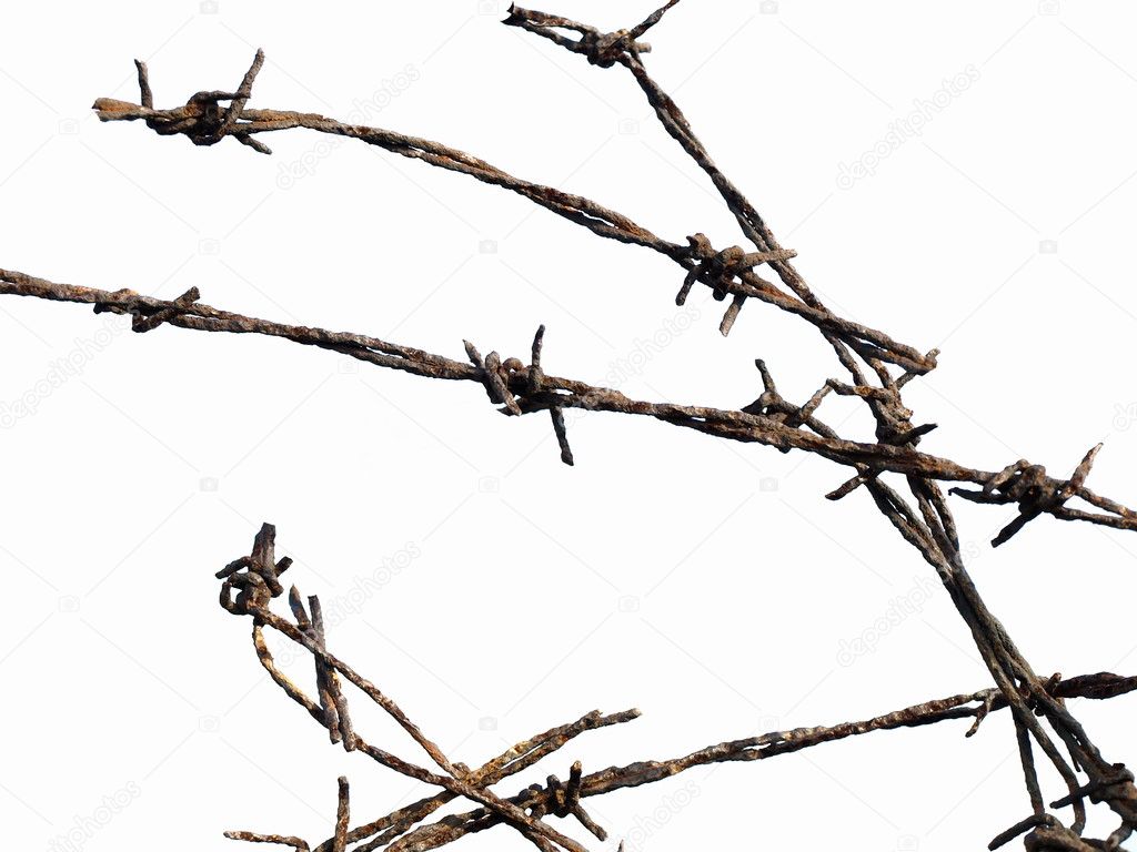 barb wire fence