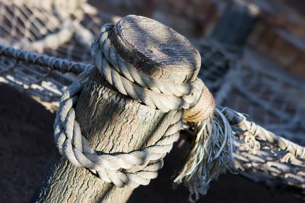 Close-up of rope wrapped around a wooden stake
