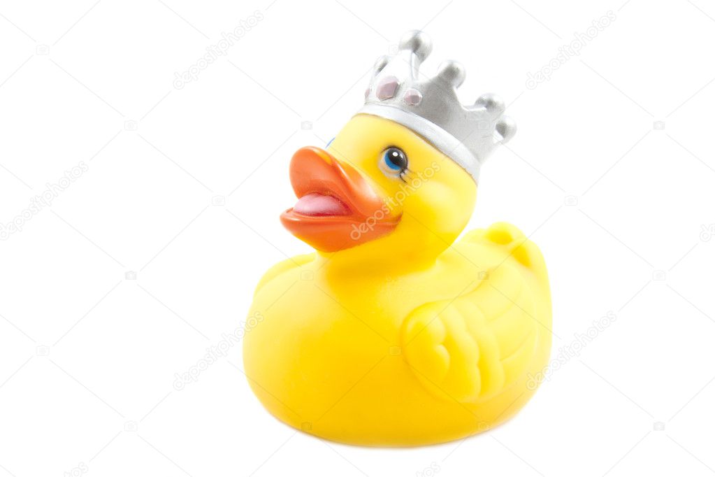 king duck