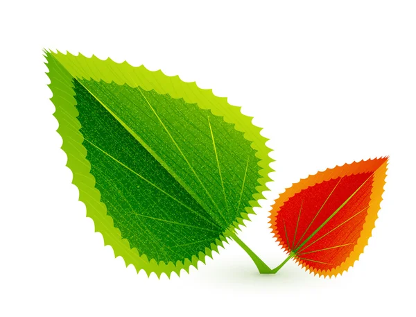Leaf Symbolism