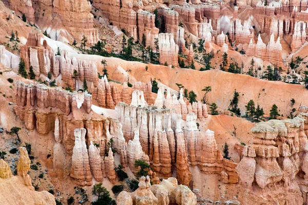 Unique and colorful hoodoo rock formations in the Bryce Canyon