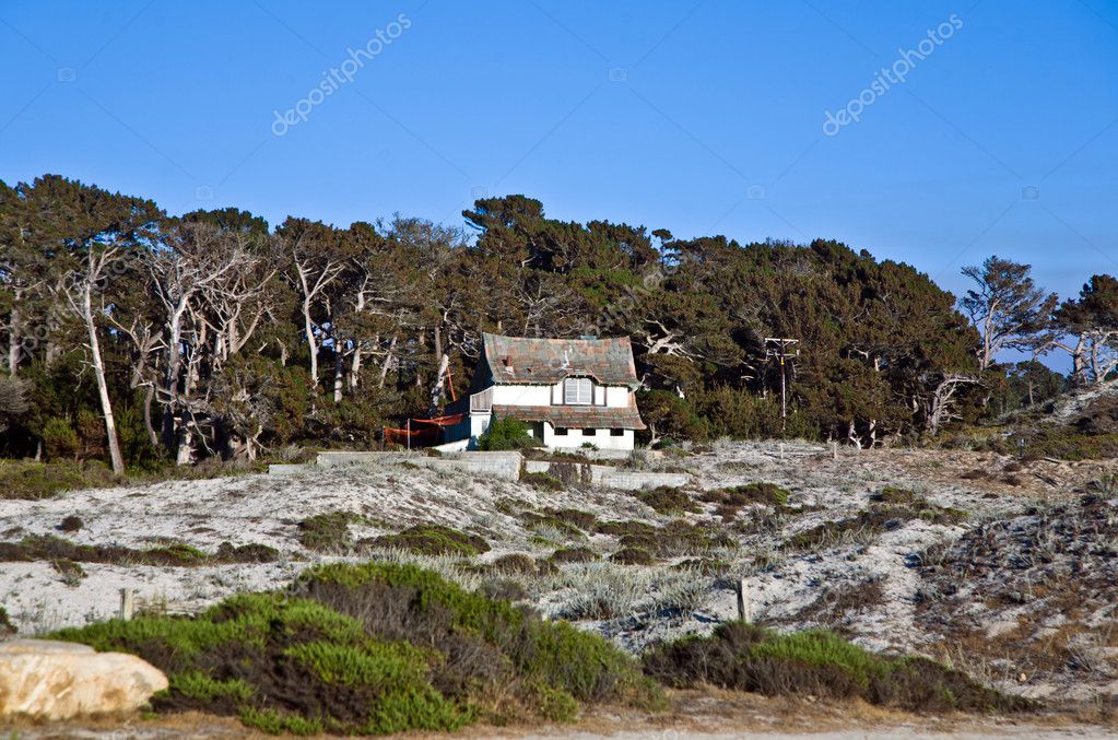 Houses California