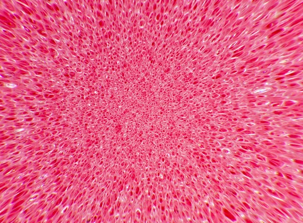 Pink sponge texture close up blast out