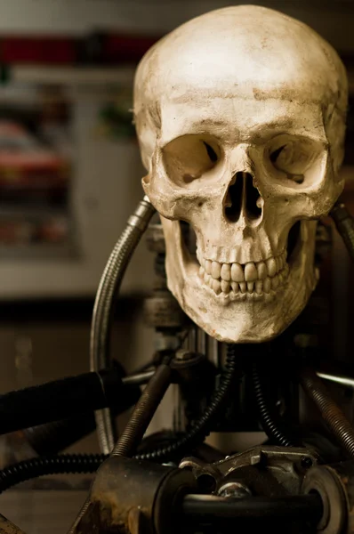 Human skull on robot body close up