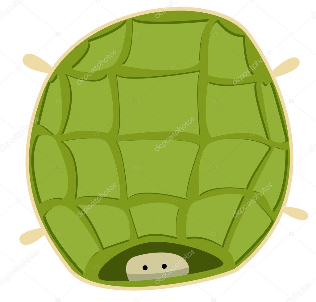 Cute Little Turtle Hiding In A Shell — Stock Vector © Oxanka #6245195