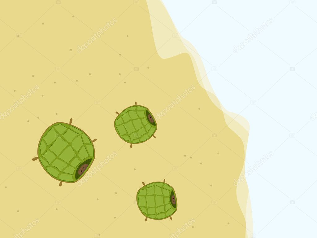 Cute Turtle Illustration