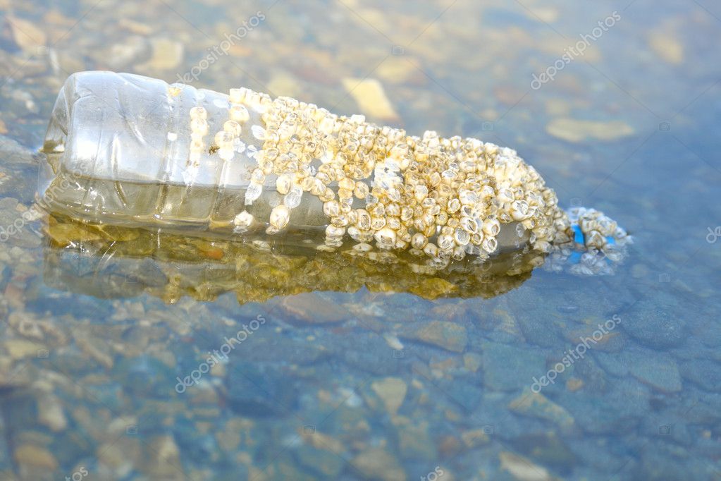 Bottle In Sea