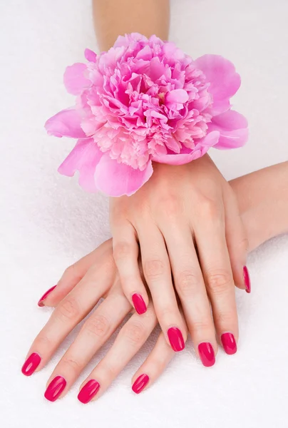 Top view of woman hands with pink manicure and flower
