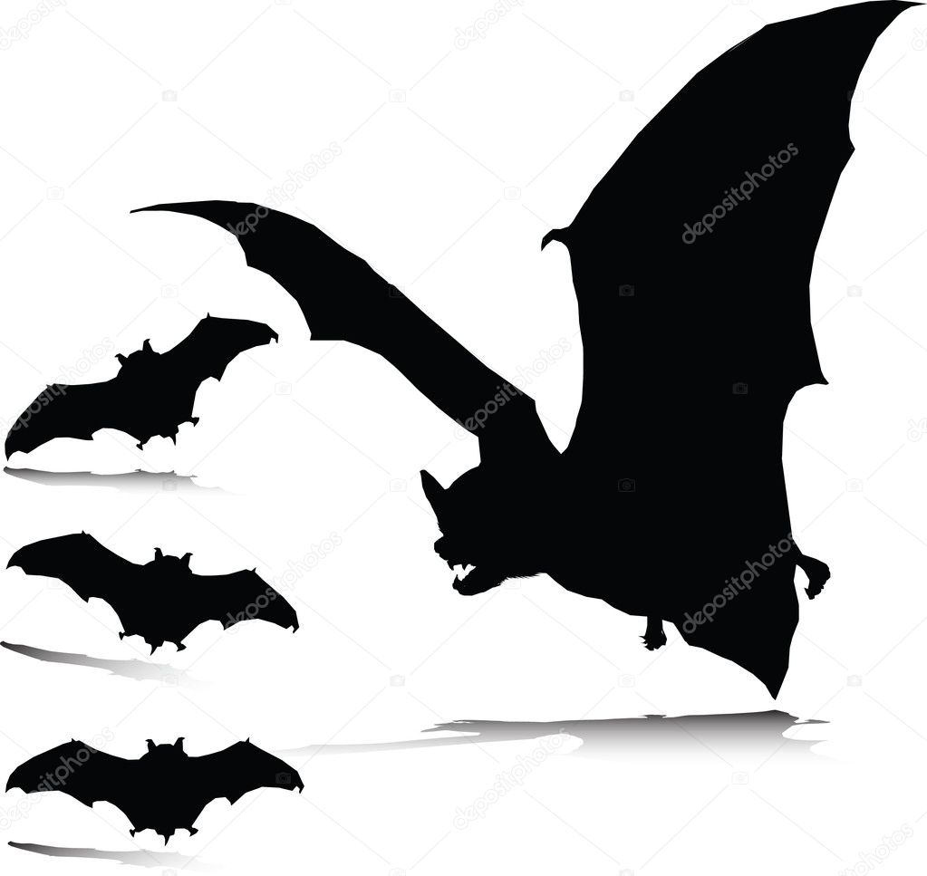 bats silhouette