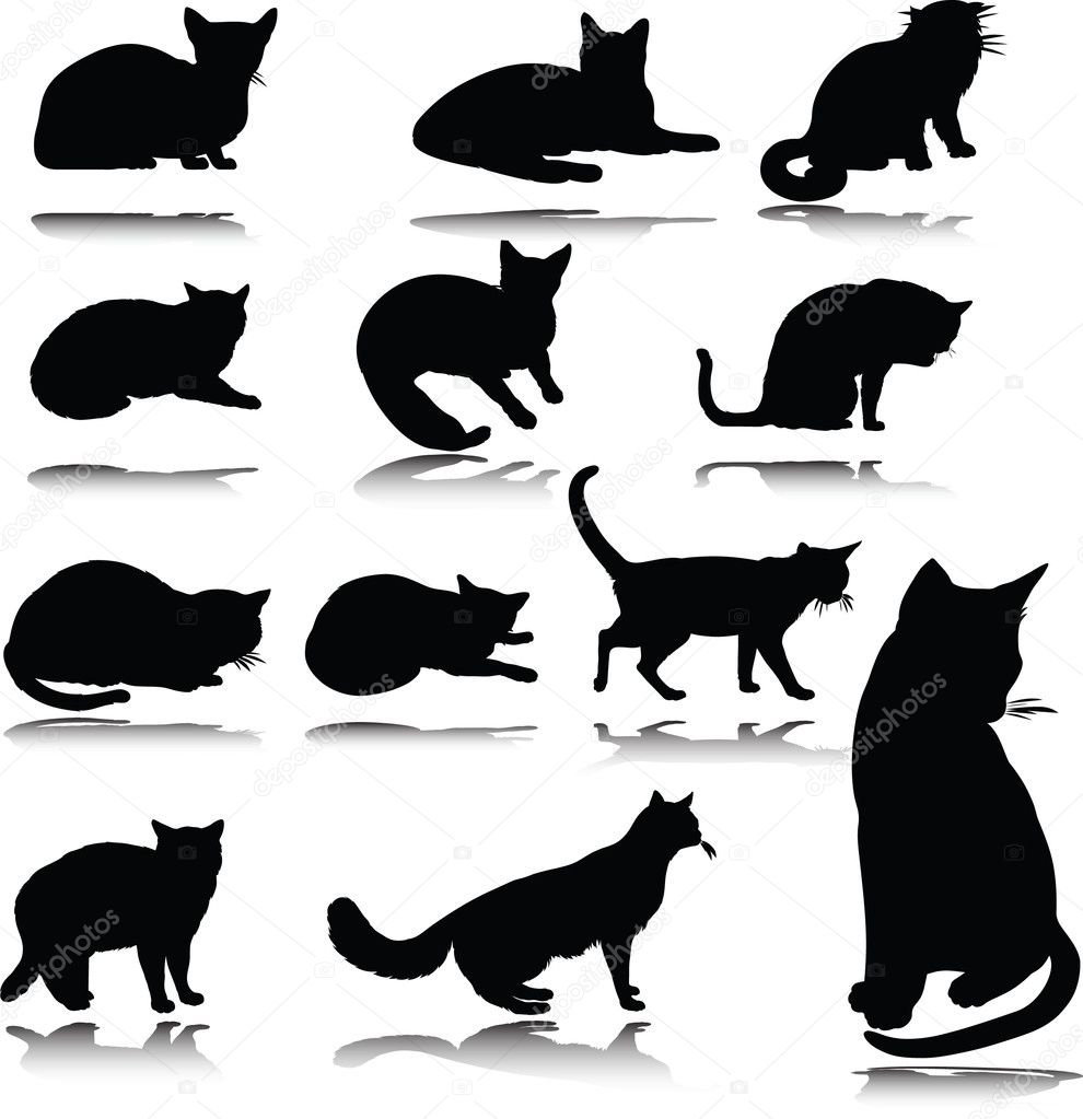 Cat Vector Art