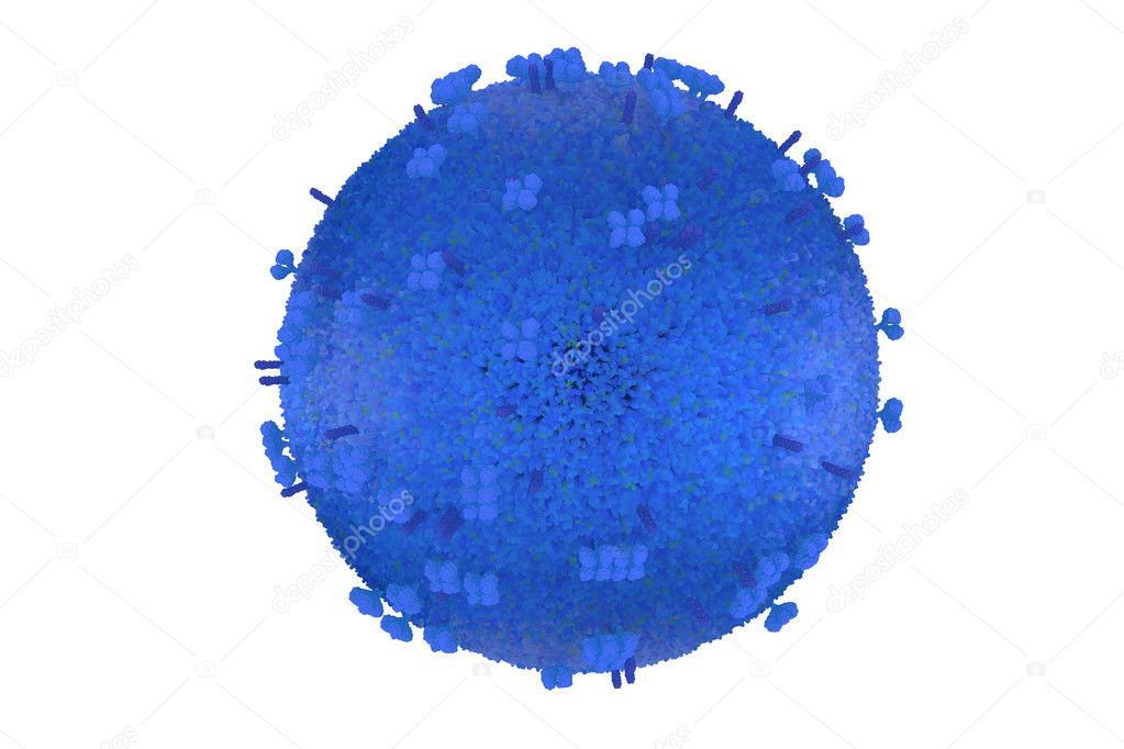 influenza virus model