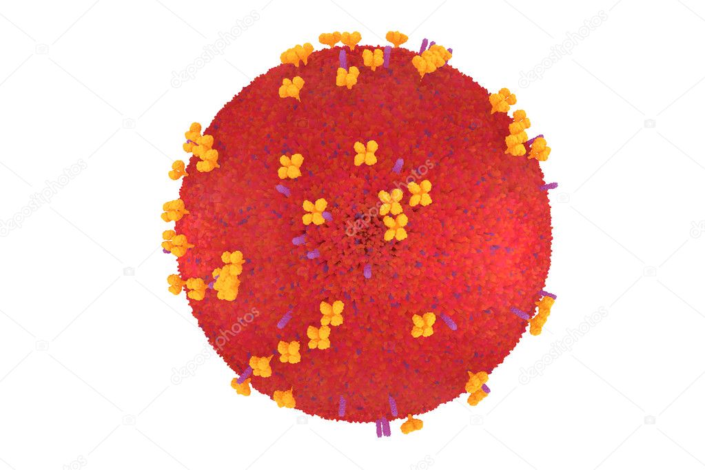 influenza virus model