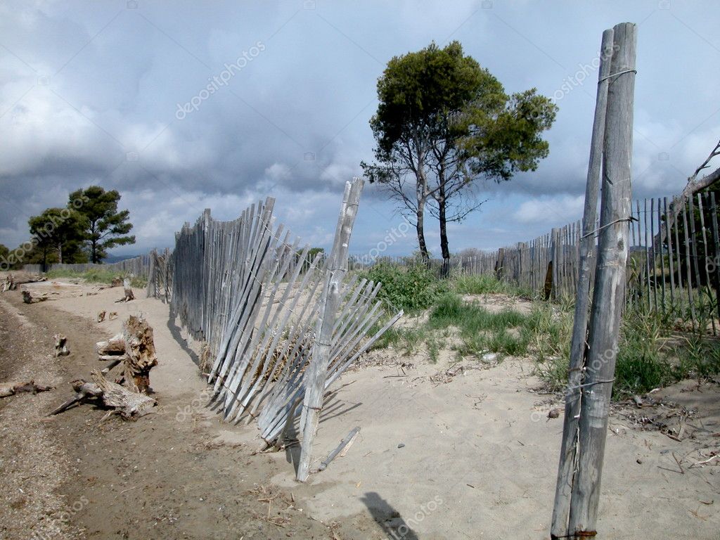 grillage soudé hauteur 50 cm