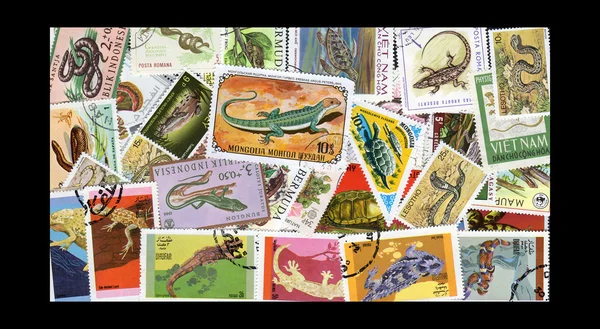 Reptile Stamps