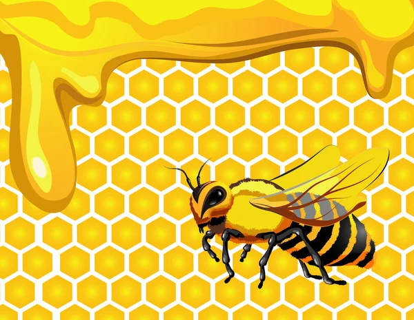 Bee Hexagon