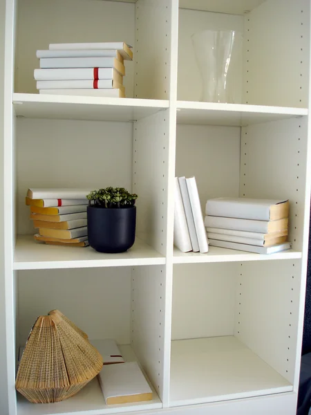 Storage and display shelves