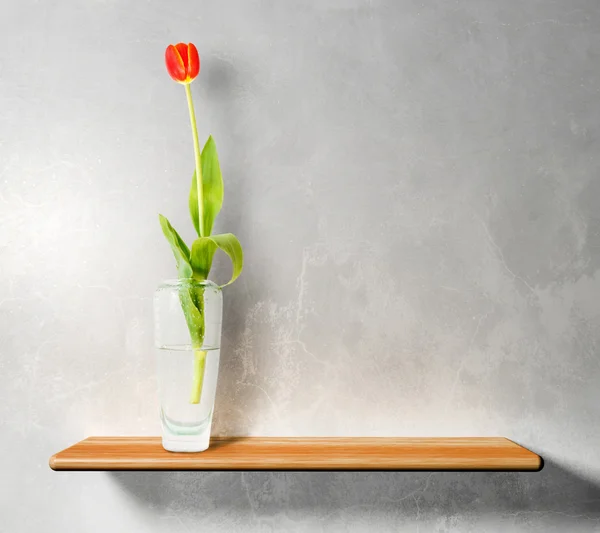 Red tulip on wooden shelf