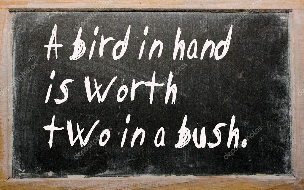 a bird in hand is worth two in bush essay A bird in hand is worth two in the bush essay - 330050. a bird in hand is worth two in bush essay A bird in hand is worth two in the bush essay - 330050.