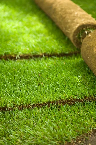 Turf grass rolls partially unrolled