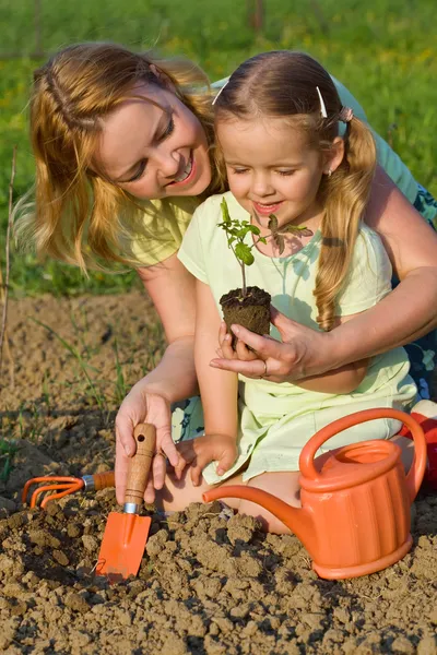 Woman and little girl growing healthy food