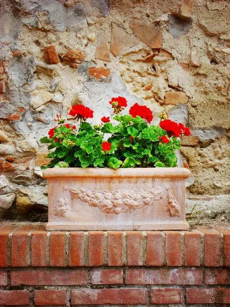 Vase of flowers on stone wall