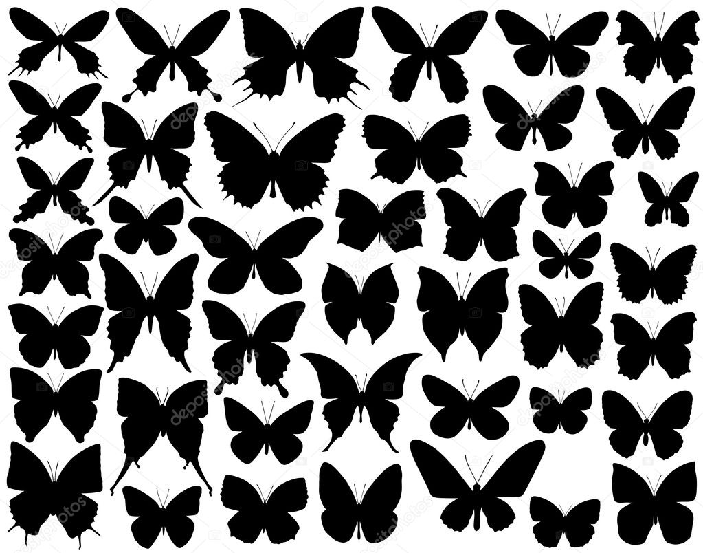 vector butterfly outlines