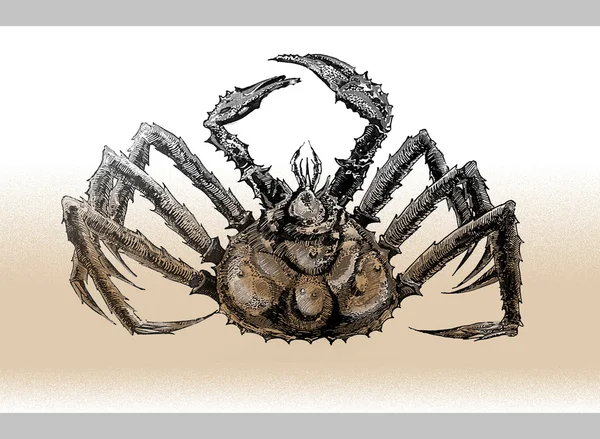 Draw Crab