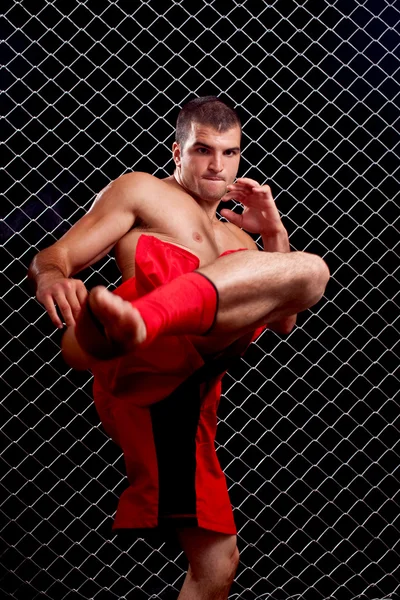 Mixed martial artist posed in front of chain link