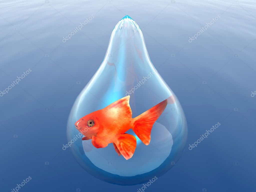 Drop of water and fish — Stock Photo © njaj 6597796