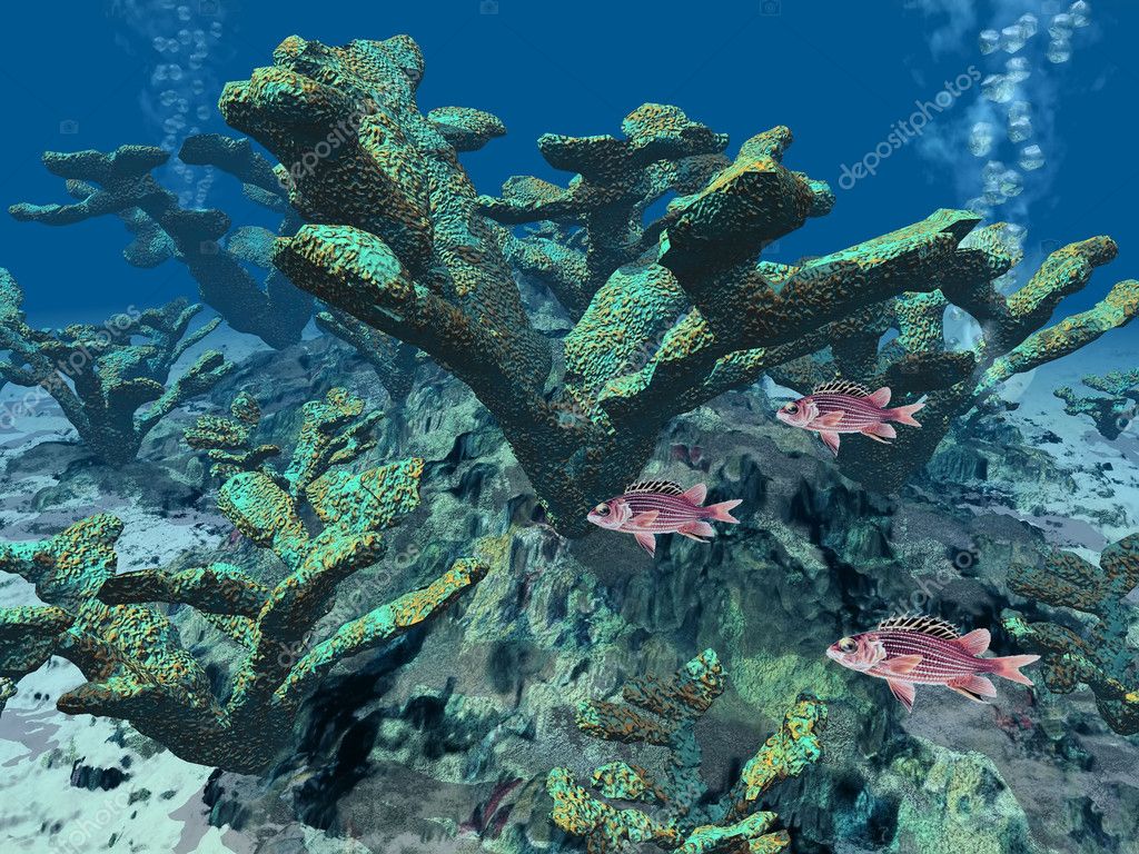 Coral Reef Underwater