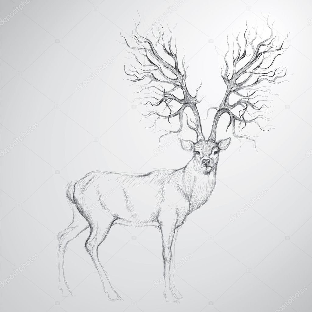 deer with antler like tree stock vector 169 muamu 6635272 deer with antler like tree stock vector 169 muamu 6635272