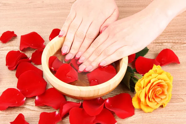 Beautiful woman\'s hands and rose