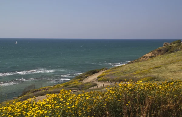 Вид на Середземне море від берега і Apollonia в руїнах. Ізраїль — стокове фото