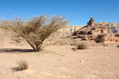 timna Milli Parkı