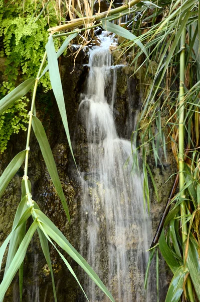 Jeden z vodopádů v ein gedi přírodní rezervace — Stock fotografie