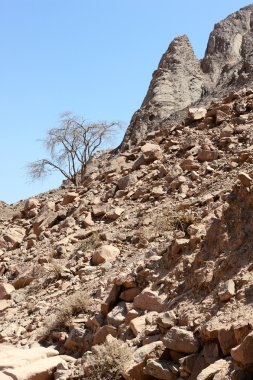 timna Milli Parkı