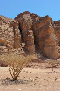 timna Milli Parkı