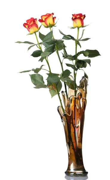 Красные розы в вазе, изолированные — стоковое фото