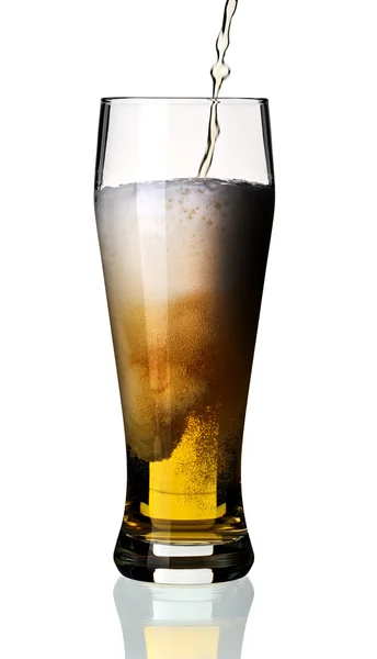 Pohár sör, elszigetelt. — Stock Fotó