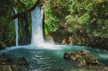 Waterfall in the Banias Nature Reserve clipart